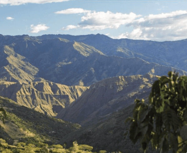 One of our Colombian Origins: Nariño